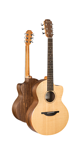 Acoustic Guitars