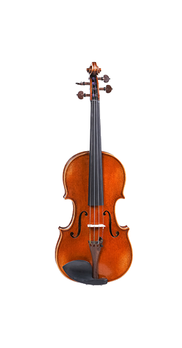 String Instruments, Violin, Cello, Bass